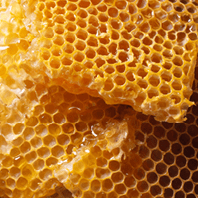 Beeswax
