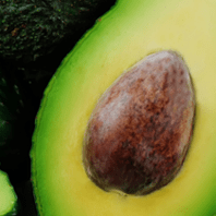 Avocado Oil