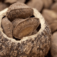 Brazil Nut Oil