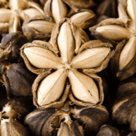 Sacha Inchi Oil